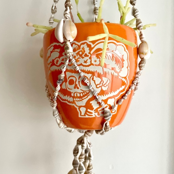 Shell Hanging Basket / Plant Hanger / Wall Hanging - Picture 2 of 16